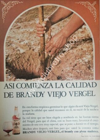 CARTEL PUBLICITARIO VINTAGE DE BRANDY VIEJO VERGEL 1970s /3