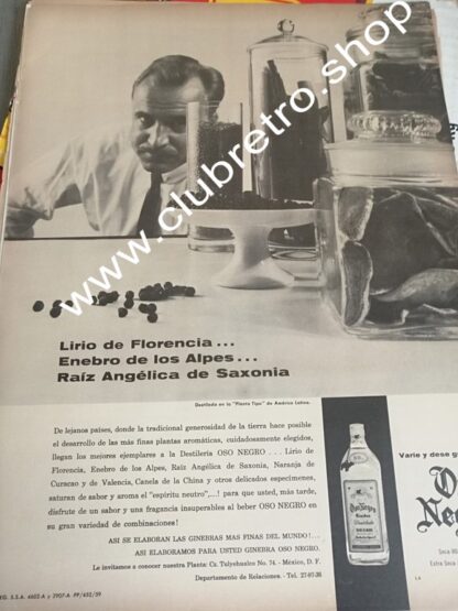 CARTEL PUBLICIDAD RETRO ORIGINAL GINEBRA OSO NEGRO 1960s /5