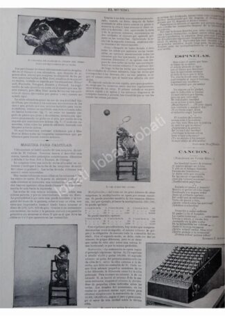 NOTA PRENSA ANTIGUA. ADIESTRAMIENTO DE PERROS 1896