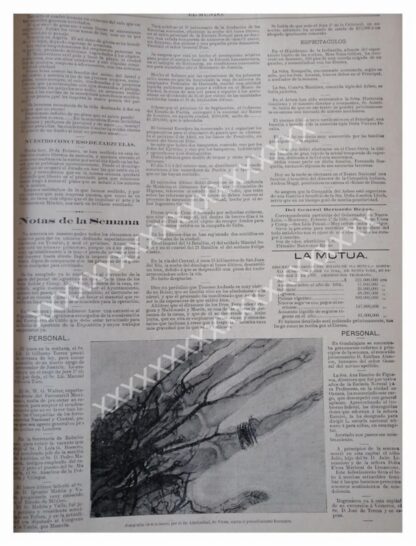 NOTA PRENSA ANTIGUA 1896 PRIMEROS RAYOS X. - Image 2