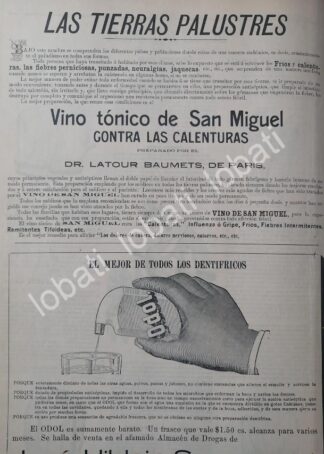 CARTEL ANTIGUO ORIGINAL DE VINO TONICO DE SAN MIGUEL Y OTROS 1899 /611