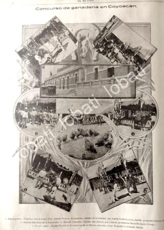 CARTEL ANTIGUO ORIGINAL DE EXPOSICION GANADERA EN COYOACAN 1895 / LDM