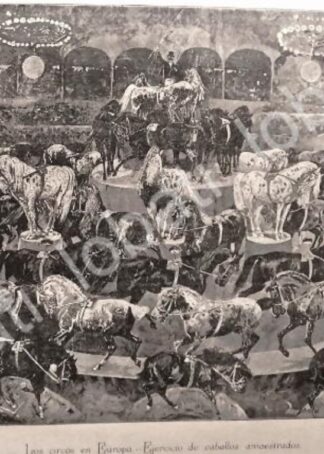 GRABADO ANTIGUO 1895 EL CIRCO EN EUROPA /23
