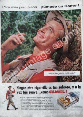 CARTEL ANTIGUO ORIGINAL DE CIGARROS CAMEL 1950s / 9