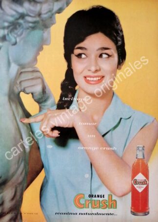 CARTEL ANTIGUO ORIGINAL DE FLOR SILVESTRE Y REFRESCO ORANGE CRUSH 1960 / FEP