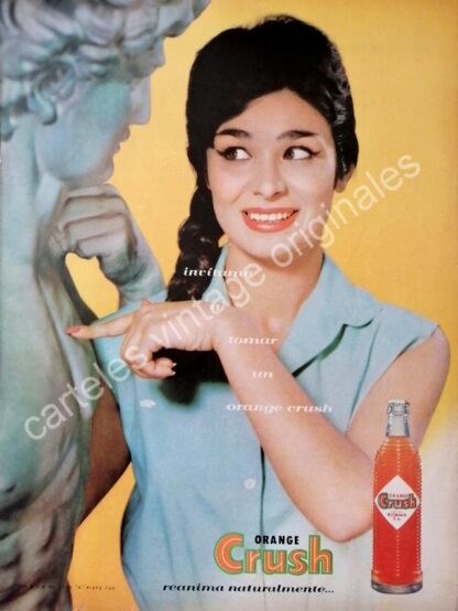 CARTEL ANTIGUO ORIGINAL DE FLOR SILVESTRE Y REFRESCO ORANGE CRUSH 1960 / FEP