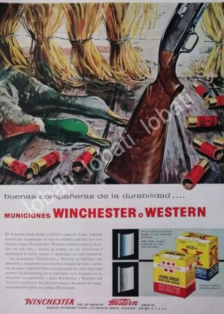CARTEL ANTIGUO ORIGINAL DE CARTUCHOS O MUNICIONES WINCHESTER 1950s /95 ( ARMAS )