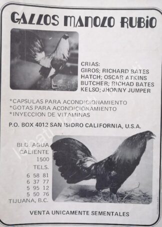 CARTEL ANTIGUO ORIGINAL DE GALLOS DE PELEA MANOLO RUBIO 1970s /257