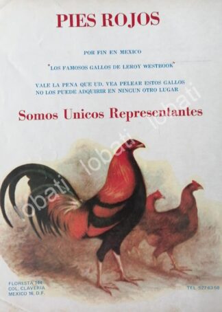 CARTEL ANTIGUO ORIGINAL DE CRIADERO DE GALLOS DE PELEA " PIES ROJOS " 1978 /444