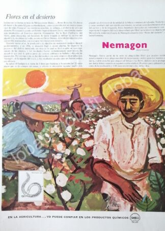 CARTEL ANTIGUO ORIGINAL DE AGROQUIMICA SHELL DE MEXICO 1960 /401