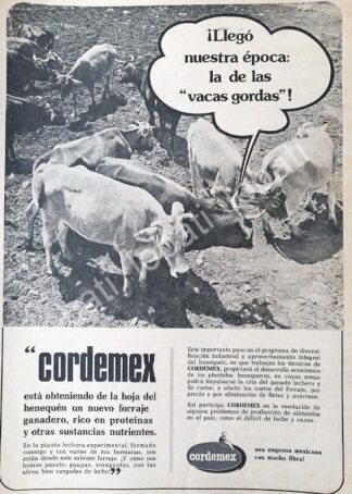 CARTEL ANTIGUO ORIGINAL DE FORRAJE Y ALIMENTO PARA GANADO CORDEMEX S.A /577 RARO