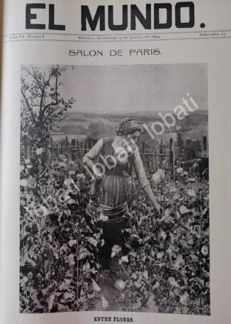PORTADA ANTIGUA ORIGINAL  1899. DE RIGWAY KNIGHT - ENTRE FLORES / ARTE