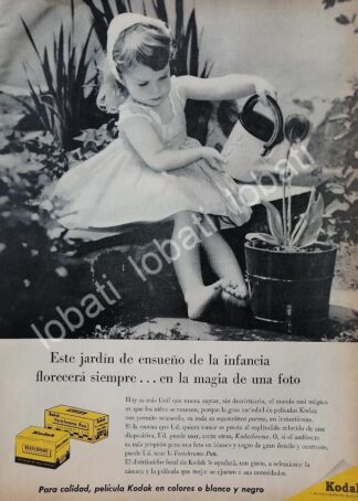 CARTEL ANTIGUO ORIGINAL DE PELICULA KODAK KODACHROME & VERICHROME 1957 /585