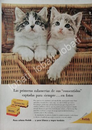 CARTEL ANTIGUO ORIGINAL DE ROLLOS & PELICULAS KODAK 1950s /549