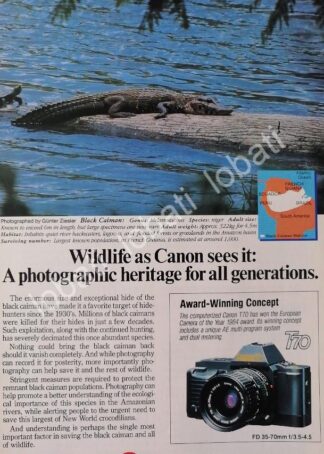 CARTEL ANTIGUO ORIGINAL DE CAMARAS FOTOGRAFICAS CANON T70 1980s /520