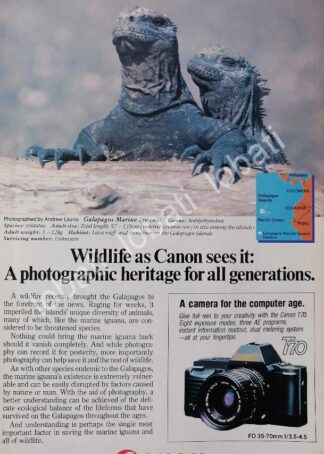CARTEL ANTIGUO ORIGINAL DE CAMARAS FOTOGRAFICAS CANON T70 1980s /519