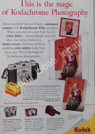 CARTEL ANTIGUO ORIGINAL DE CAMARAS FOTOGRAFICAS KODAK PONY 135 1950s /506