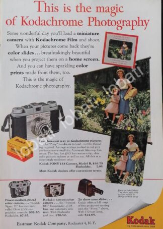 CARTEL ANTIGUO ORIGINAL DE CAMARAS FOTOGRAFICAS KODAK PONY 135 1950s /505