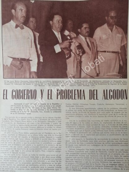 CARTEL ANTIGUO ORIGINAL DE ALVARO OBREGON JR. Y ALGODONEROS DE SONORA 1956 - Image 4