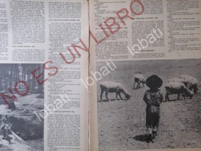 CARTEL ANTIGUO ORIGINAL DE GUION. GABRIEL GARCIA MARQUEZ, ERENDIRA 1970 - Image 2