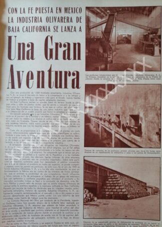 CARTEL ANTIGUO ORIGINAL DE , LA INDUSTRIA OLIVARERA B. CALIFORNIA 1959