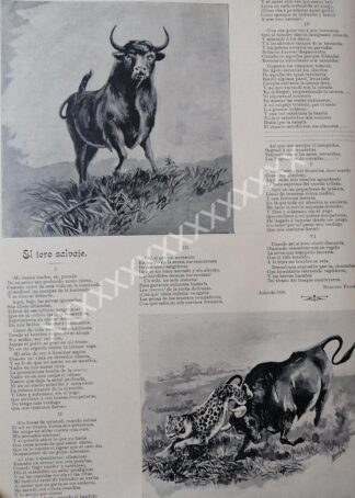 CARTEL ANTIGUO. POEMA AL TORO, DE RUDOLFO FIGUEROA 1896