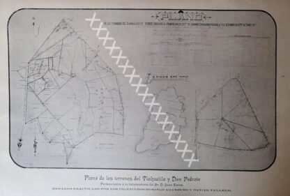 MAPA ANTIGUO DE TLAHUALILO Y DON PEDROTE 1896