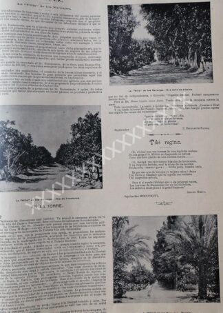 AFICHE ANTIGUO. 1896 VILLA DE LOS NARANJOS, GUAYMAS