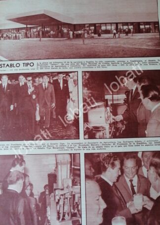 AFICHE RETRO. INAUGURAN, ESTABLO TIPO, JALISCO 1960s