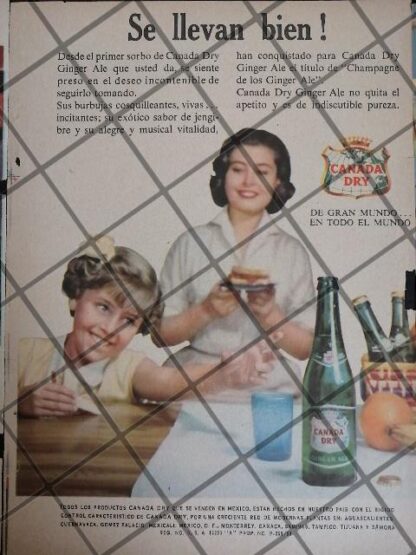 8 CARTELES ANTIGUOS REFRESCOS VARIOS AÑOS 40s-70s /316 - Image 4
