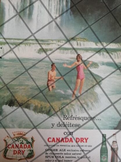 6 CARTELES ANTIGUOS REFRESCOS CANADA DRY 1950s /340 - Image 7