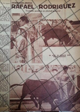 AFICHE ANTIGUO TORERO RAFAEL RODRIGUEZ DOMINGUEZ 1954 -2