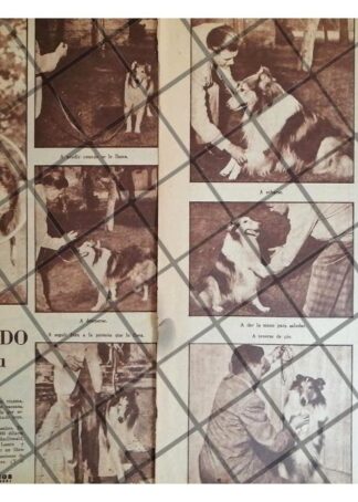 AFICHE ANTIGUO. EL PERRO LASSIE 1951