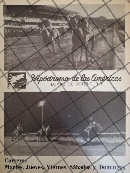 AFICHE ANTIGUO CAMPEONATO NAC. SALTO DE OBSTACULOS 1983 - Image 2