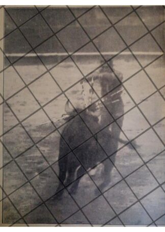 FOTO GRABADO ANTIGUO. TORERO. MANUEL GARCIA "MAERA" 1922