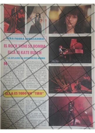 AFICHE RETRO LA CANTANTE KATE BUSCH 1979
