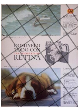 CARTEL PUBLICITARIO RETRO CAMARA KODAK RETINA REFLEX 3.