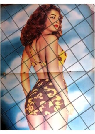 NOTA Y POSTER RETRO INICIOS DE ELSA AGUIRRE 1956