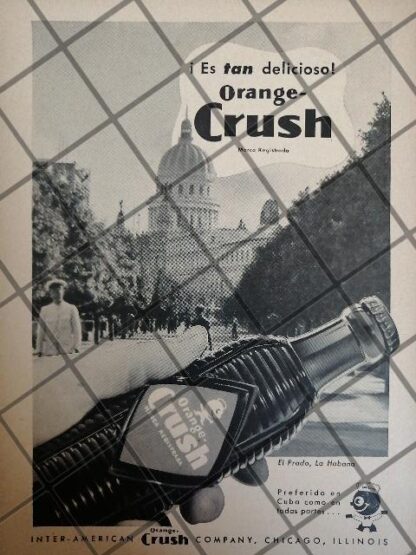 12 CARTELES ANTIGUOS REFRESCOS ORANGE CRUSH 50s 60s /341 - Image 5