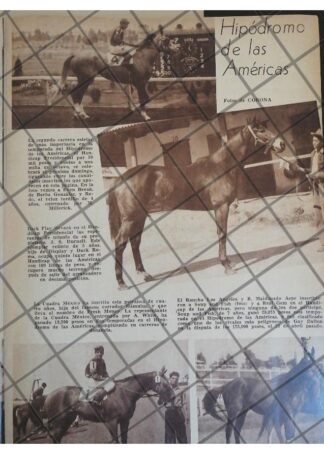 AFICHE RETRO HIPODROMO DE LAS AMERICAS HANDICAP PRESID.