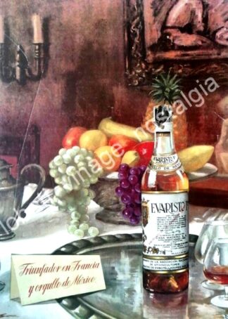 CARTEL ANTIGUO ORIGINAL DE COGNAC EVARISTO 1956 CASA MADERO /V260