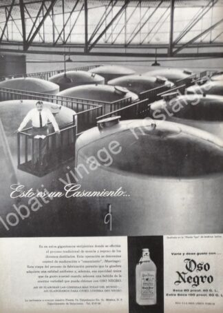 CARTEL ANTIGUO ORIGINAL DE GINEBRA OSO NEGRO Y SU PLANTA DE D.F 1959 /V295