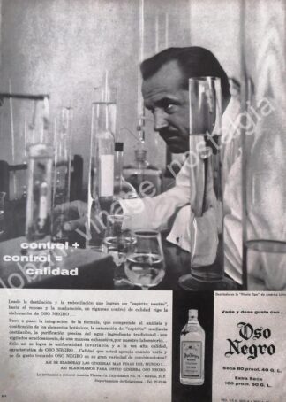CARTEL ANTIGUO ORIGINAL DE GINEBRA OSO NEGRO 1959 /V279