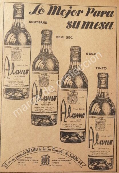 CARTEL ANTIGUO ORIGINAL DE VINOS ALAMO, CIA. VINICOLA DE SALTILLO 1949 - Image 2