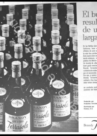 CARTEL ANTIGUO ORIGINAL DE BRANDY TERRASOLA 1967 / RARO