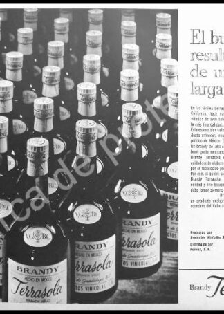 CARTEL ANTIGUO ORIGINAL DE BRANDY TERRASOLA 1962 -2 / RARO