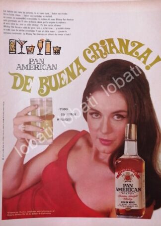 CARTEL ANTIGUO ORIGINAL DE VINOS. WHISKY PANAMERICAN 1966 /597 SUPER RARO 10+