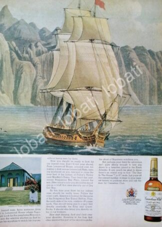 CARTEL ANTIGUO ORIGINAL DE VINOS WHISKY CANADIAN CLUB 1950s /495